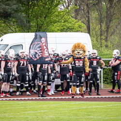 NewYorker Lions 2023