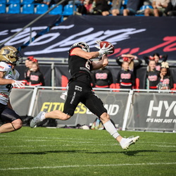 NewYorker Lions-P.Dolphins