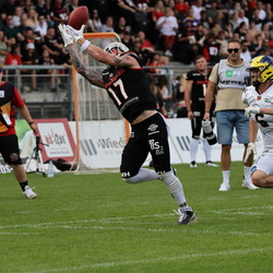 NewYorker Lions-HI-Invaders