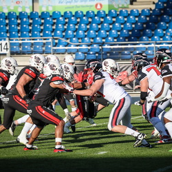 NewYorker Lions-DPanther