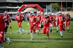 PB Dolphins-NewYorker Lions