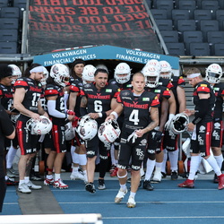 NewYorker Lions-Dresden MNRX