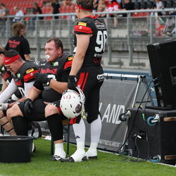 NewYorker Lions 2025