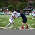 BS Lions (1 von 77)