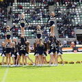 BS Lions  029