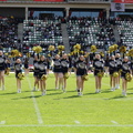 BS Lions  031