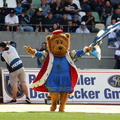 BS Lions  033