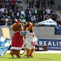 BS Lions  034
