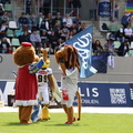 BS Lions  035