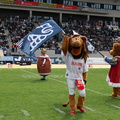 BS Lions  037