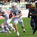 BS Lions  058