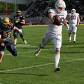BS Lions  136