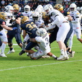BS Lions  141