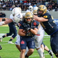 BS Lions  144