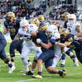 BS Lions  146