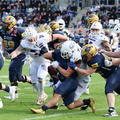 BS Lions  147