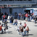 BS Lions (1 von 141)