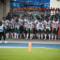 BS Lions (7 von 141)