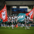 BS Lions (8 von 141)