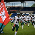BS Lions (12 von 141)
