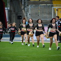 BS Lions (13 von 141)