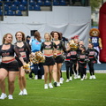 BS Lions (14 von 141)