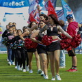 R6 31534